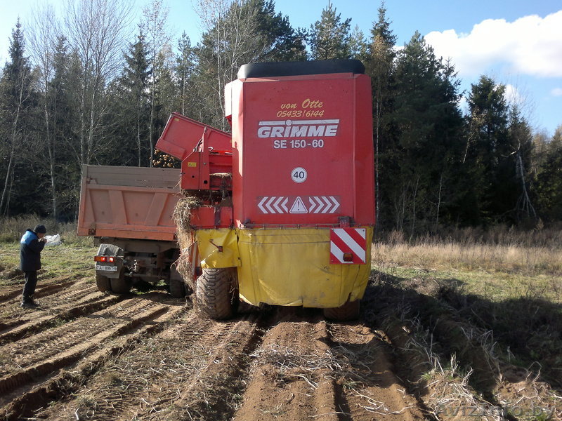 СЕЛЬХОЗ. УСЛУГИ ПО УБОРКЕ КАРТОФЕЛЯ - Изображение #1, Объявление #284128