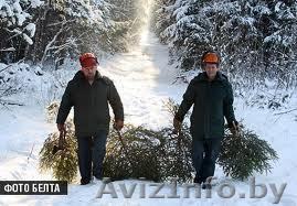 рабочие на деревообрабатывающее предприятие    - Изображение #1, Объявление #819725