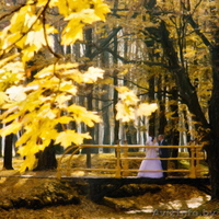 Фотограф на свадьбу г.Кобрин - Изображение #5, Объявление #525375