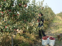 Продам участок 11 га - Изображение #1, Объявление #673982