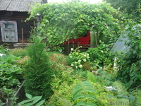 продам дачу в деревне - Изображение #1, Объявление #680937