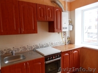 Продам однокомнатную квартиру в центре города с евроремонтом 2 этаж/4-х этаж дом - Изображение #3, Объявление #872621