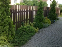 продается коттедж дом - Изображение #2, Объявление #886745