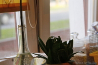 Кавртира-студия с современным ремонтом  на сутки в Кобрине - Изображение #1, Объявление #933262