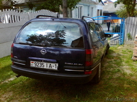 александр 80295223860 - Изображение #3, Объявление #935389