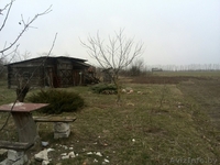 ПРОДАМ ДОМ в д. Камень - Изображение #3, Объявление #1409371