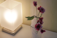 MANGO апартаменты.Самая лучшая квартира на сутки. З комнаты. ВИП - Изображение #9, Объявление #1323934