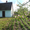 Продам дом в Кобрине - Изображение #4, Объявление #1264727
