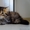 Британские длинношерстные(хайленд) котята уникальных окрасов Питомник  - Изображение #3, Объявление #1331394