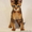 Чаузи(нильская кошка)питомник бенгальских кошек. - Изображение #2, Объявление #1479551