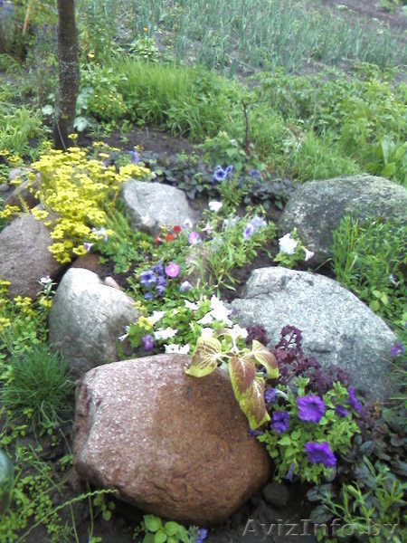 летний дом в деревне - Изображение #4, Объявление #32422