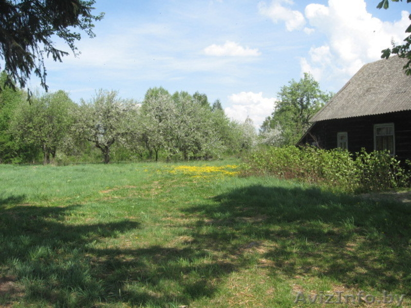 Продам участок 11 га - Изображение #4, Объявление #673982