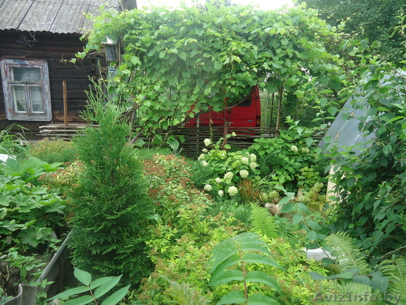 продам дачу в деревне - Изображение #1, Объявление #680937