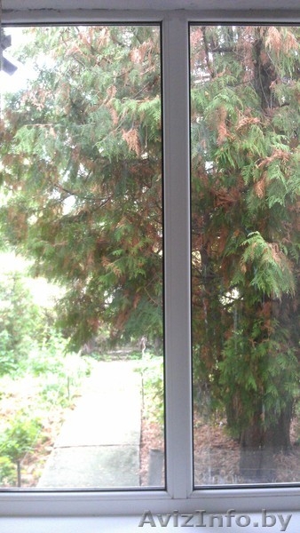 Каменный дом на продажу в хорошем состоянии - Изображение #4, Объявление #785707