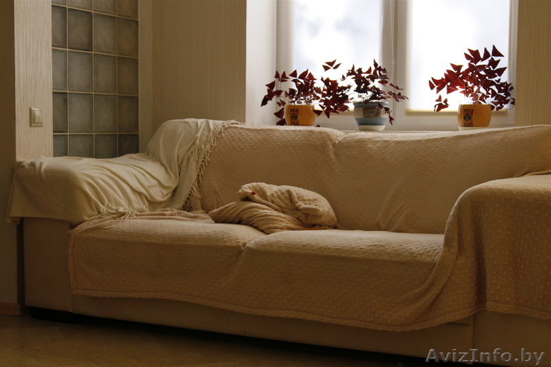 Кавртира-студия с современным ремонтом  на сутки в Кобрине - Изображение #3, Объявление #933262