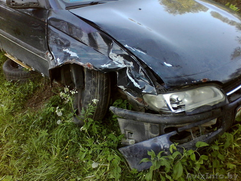 александр 80295223860 - Изображение #1, Объявление #935389