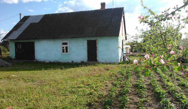 Продам дом в Кобрине - Изображение #4, Объявление #1264727