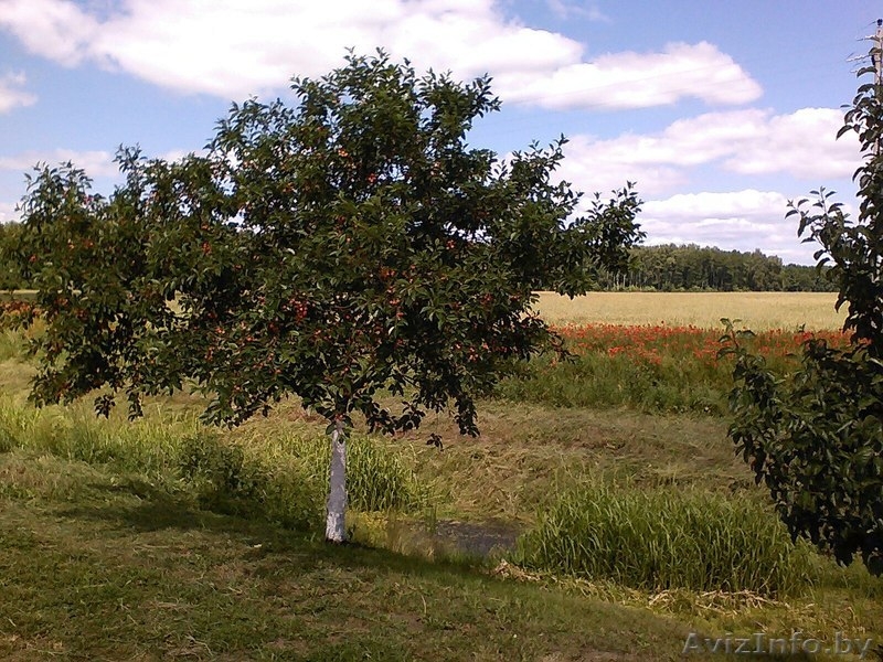 дом район БАМ с черновой отделкой 140кв.м. 10соток. - Изображение #4, Объявление #1281283