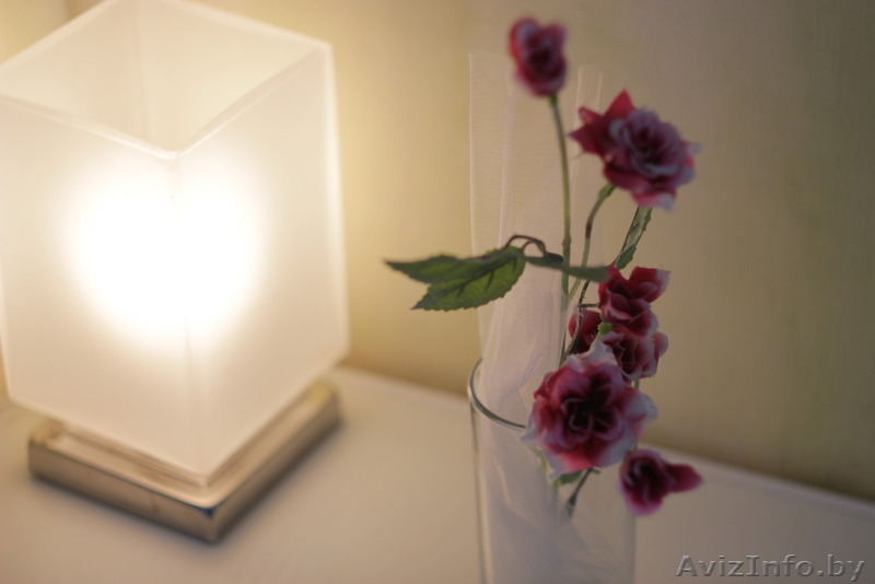 MANGO апартаменты.Самая лучшая квартира на сутки. З комнаты. ВИП - Изображение #9, Объявление #1323934